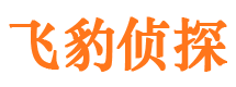 乐清外遇出轨调查取证